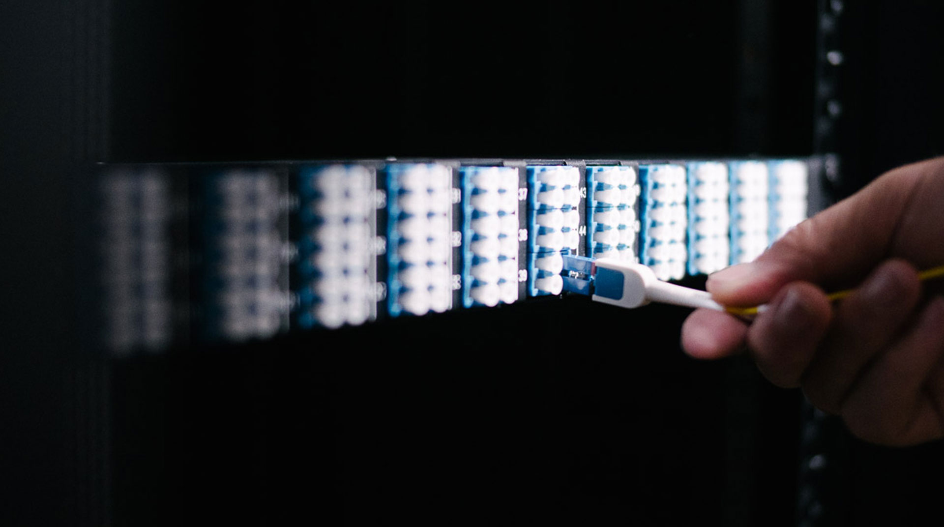 An overview of MPO cable assemblies