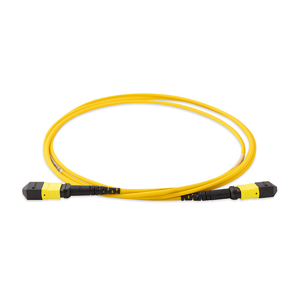 MTP/MPO Trunks